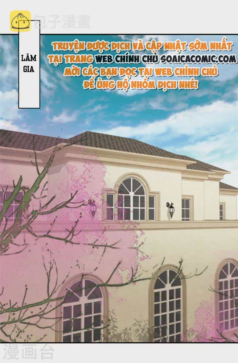 Trọng Sinh Trở Lại: Sủng Nịch Độc Nhất Vô Nhị - Chương 241 - ảnh 7