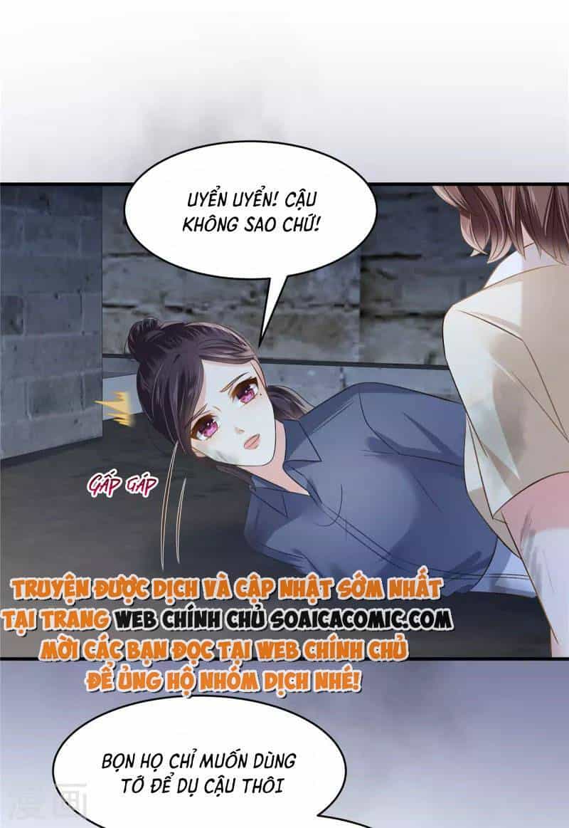 Trọng Sinh Trở Lại: Sủng Nịch Độc Nhất Vô Nhị - Chương 271 - ảnh 19
