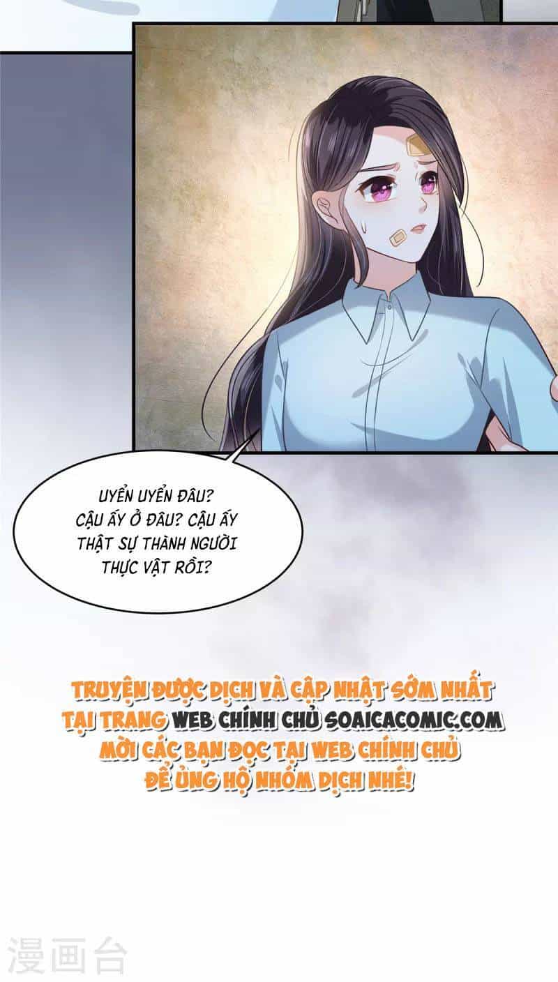 Trọng Sinh Trở Lại: Sủng Nịch Độc Nhất Vô Nhị - Chương 276 - ảnh 17