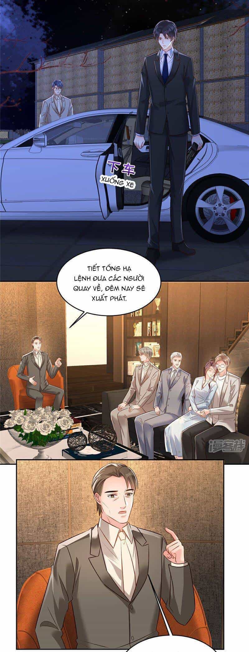 Trọng Sinh Trở Lại: Sủng Nịch Độc Nhất Vô Nhị - Chương 344 - ảnh 12