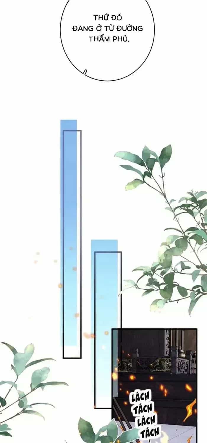 Trùng Sinh Chi Tướng Môn Độc Hậu - Chương 35 - ảnh 20