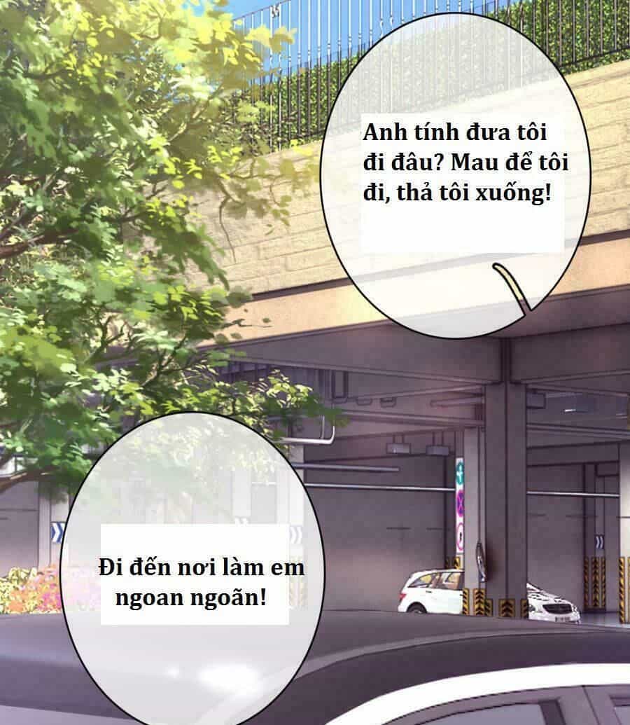 Trùng Sinh Để Trả Thù - Chương 45 - ảnh 28