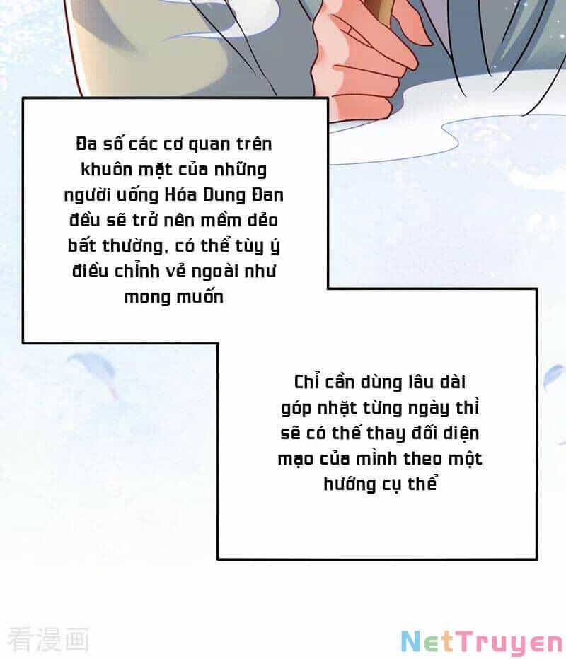 Trùng Sinh Không Gian: Cô Vợ Hào Môn Nóng Bỏng Không Dễ Chọc - Chương 139 - ảnh 10