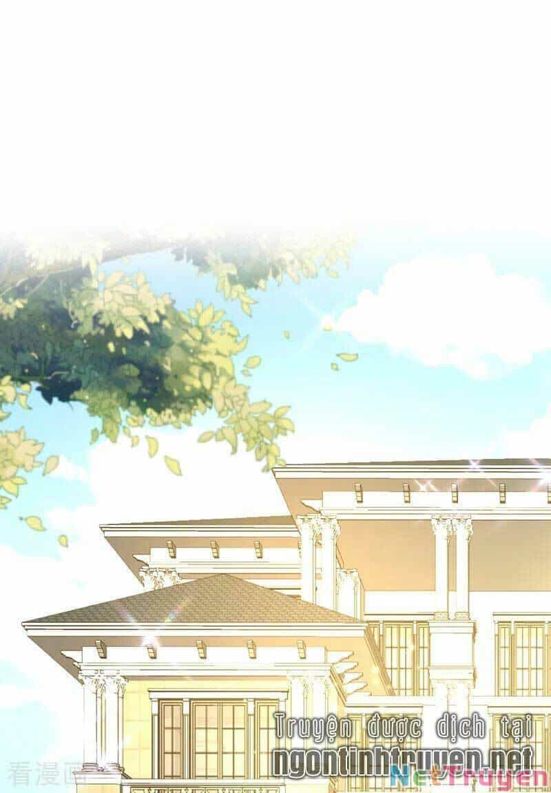 Trùng Sinh Không Gian: Cô Vợ Hào Môn Nóng Bỏng Không Dễ Chọc - Chương 139 - ảnh 14