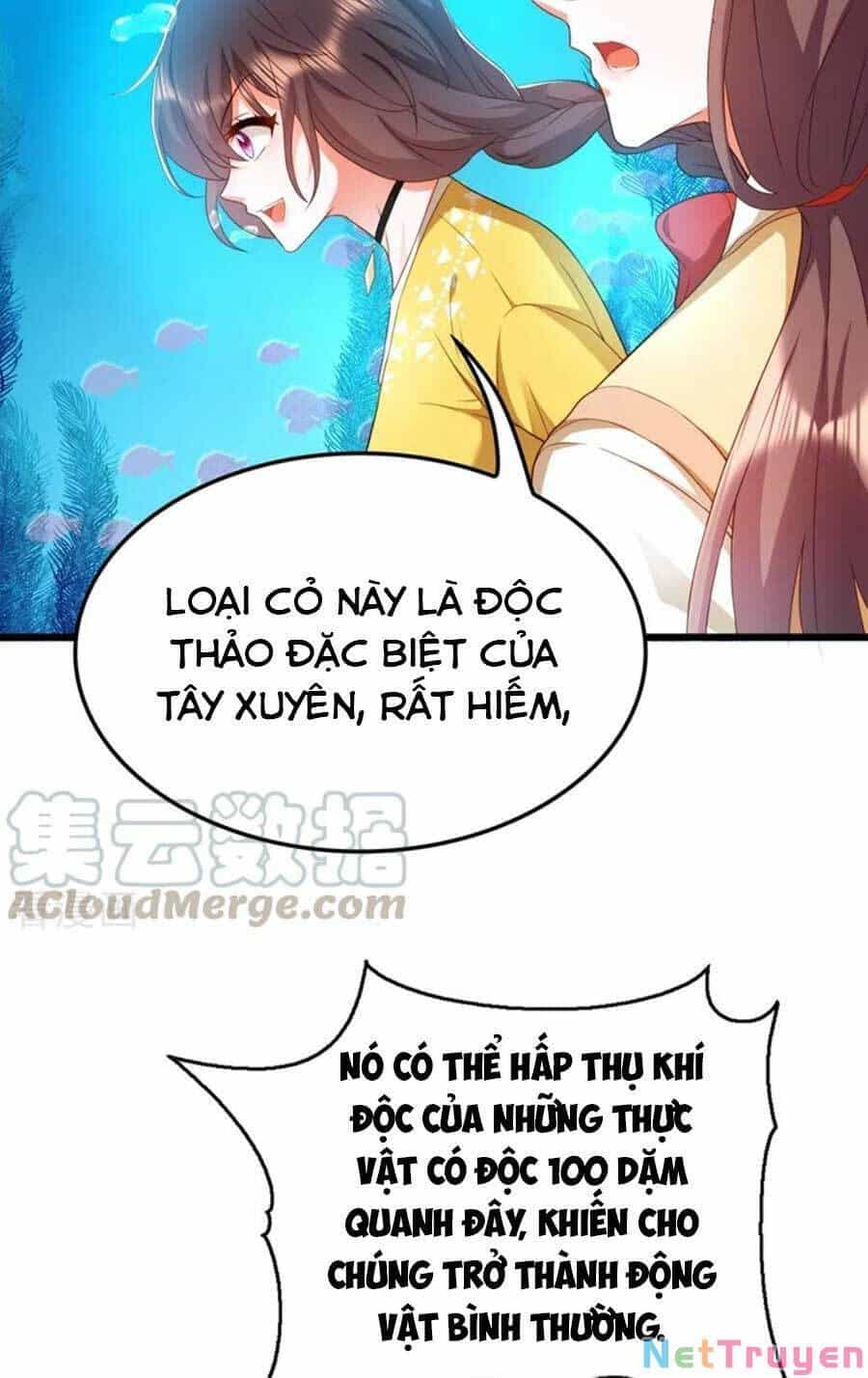 Trùng Sinh Không Gian: Cô Vợ Hào Môn Nóng Bỏng Không Dễ Chọc - Chương 169 - ảnh 26