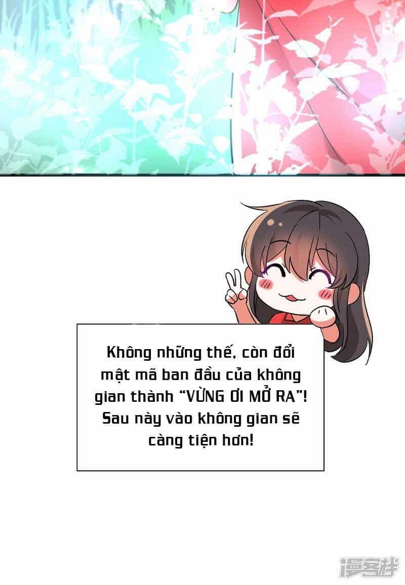 Trùng Sinh Không Gian: Cô Vợ Hào Môn Nóng Bỏng Không Dễ Chọc - Chương 22 - ảnh 6