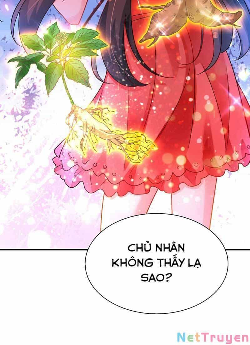 Trùng Sinh Không Gian: Cô Vợ Hào Môn Nóng Bỏng Không Dễ Chọc - Chương 76 - ảnh 43
