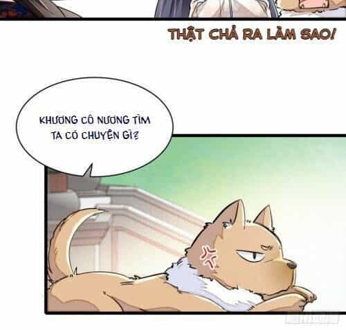 Tự Cẩm - Chương 105 - ảnh 12