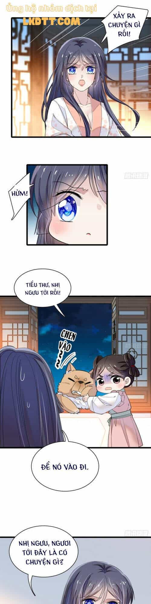 Tự Cẩm - Chương 106 - ảnh 13