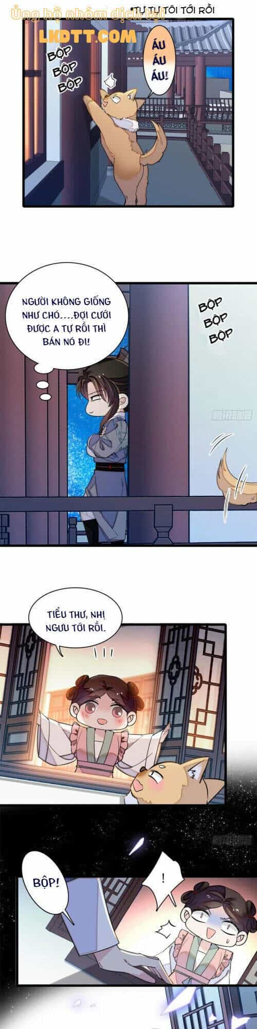 Tự Cẩm - Chương 113 - ảnh 10