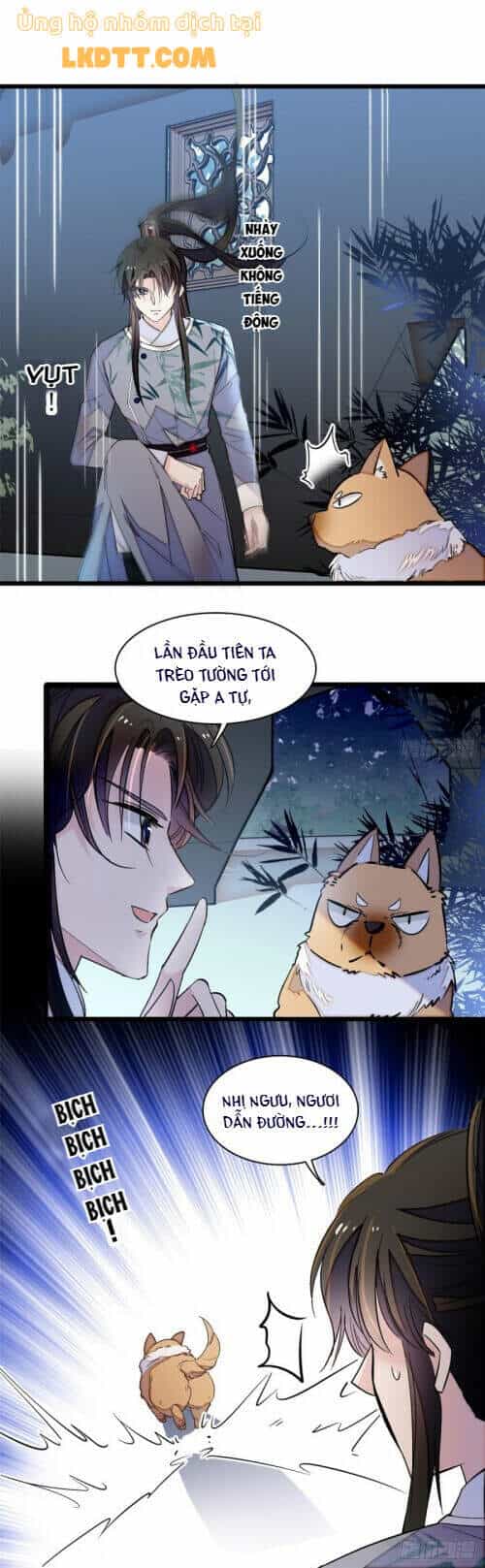 Tự Cẩm - Chương 113 - ảnh 4