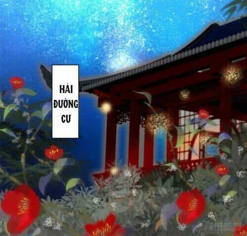 Tự Cẩm - Chương 113 - ảnh 9