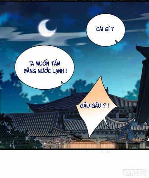 Tự Cẩm - Chương 122 - ảnh 21