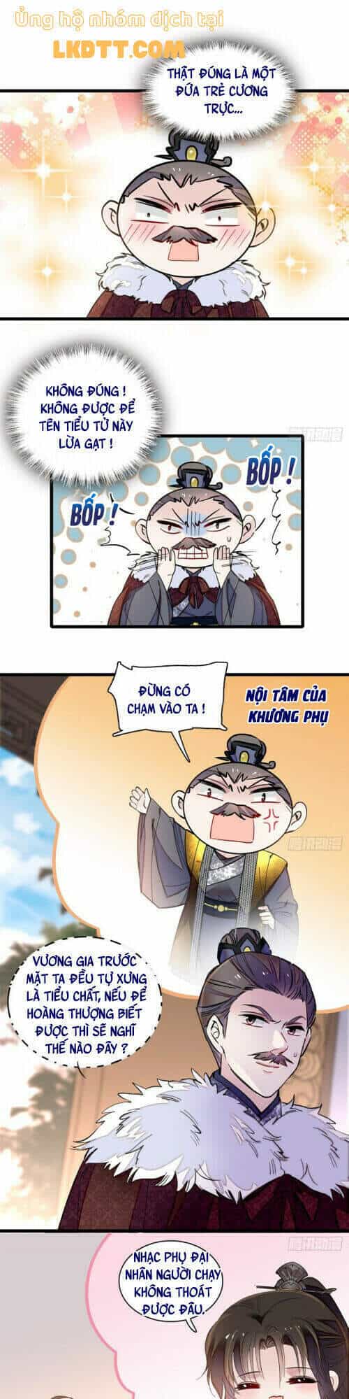 Tự Cẩm - Chương 122 - ảnh 24