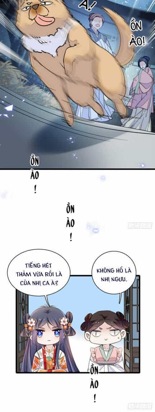 Tự Cẩm - Chương 124 - ảnh 4