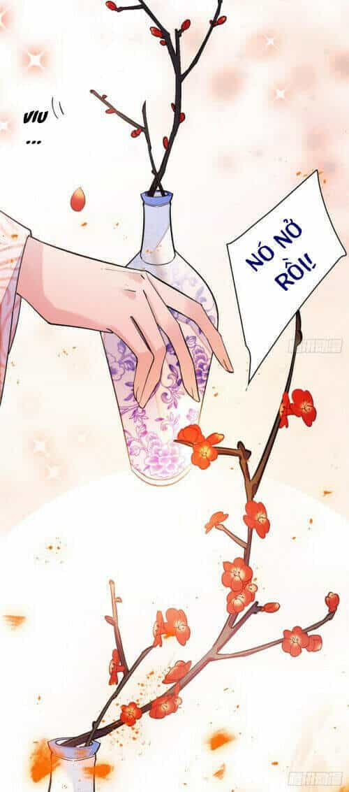 Tự Cẩm - Chương 125 - ảnh 28