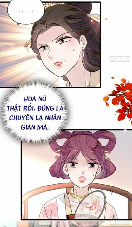 Tự Cẩm - Chương 126 - ảnh 4
