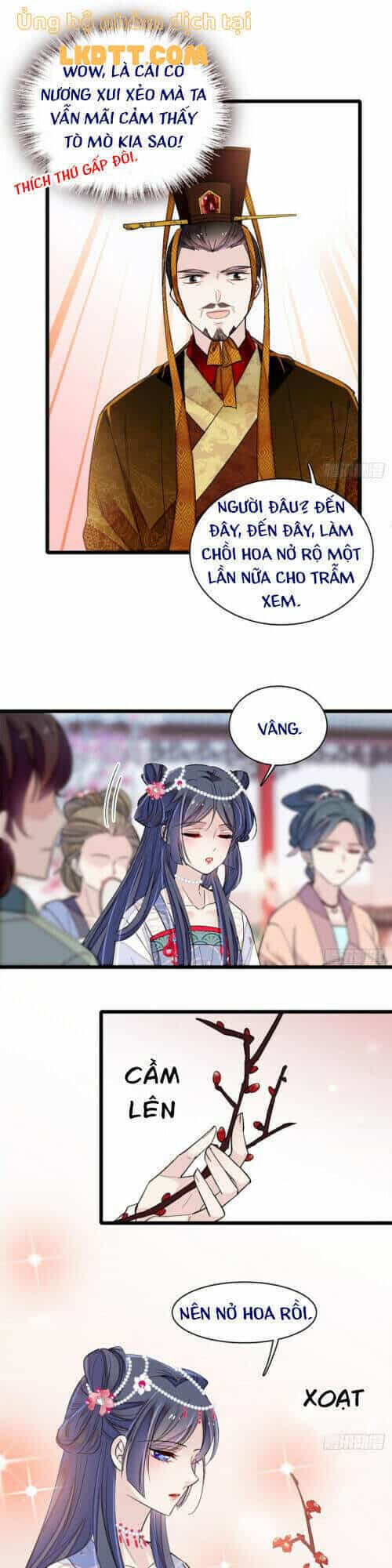 Tự Cẩm - Chương 127 - ảnh 5