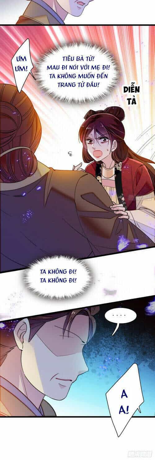 Tự Cẩm - Chương 130 - ảnh 4