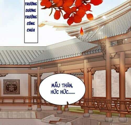 Tự Cẩm - Chương 132 - ảnh 11