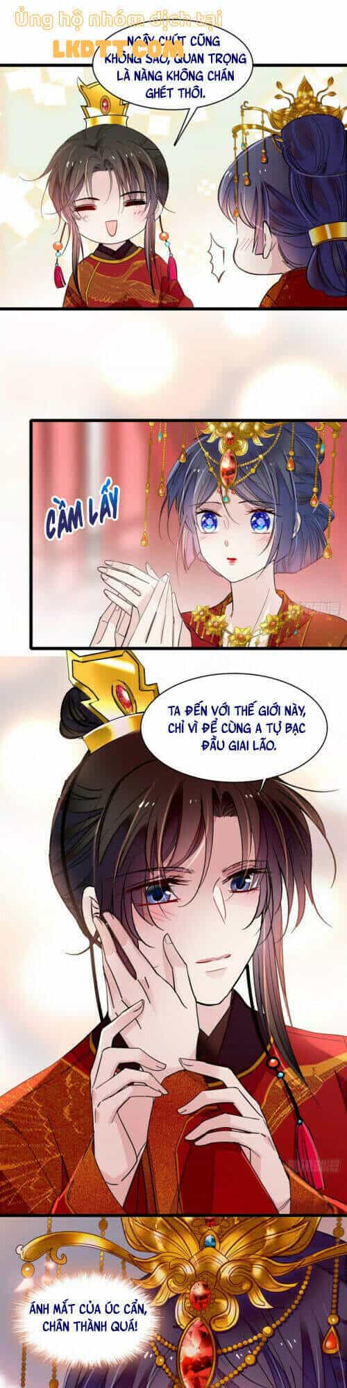 Tự Cẩm - Chương 135 - ảnh 9