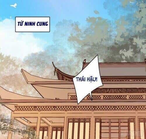 Tự Cẩm - Chương 138 - ảnh 13