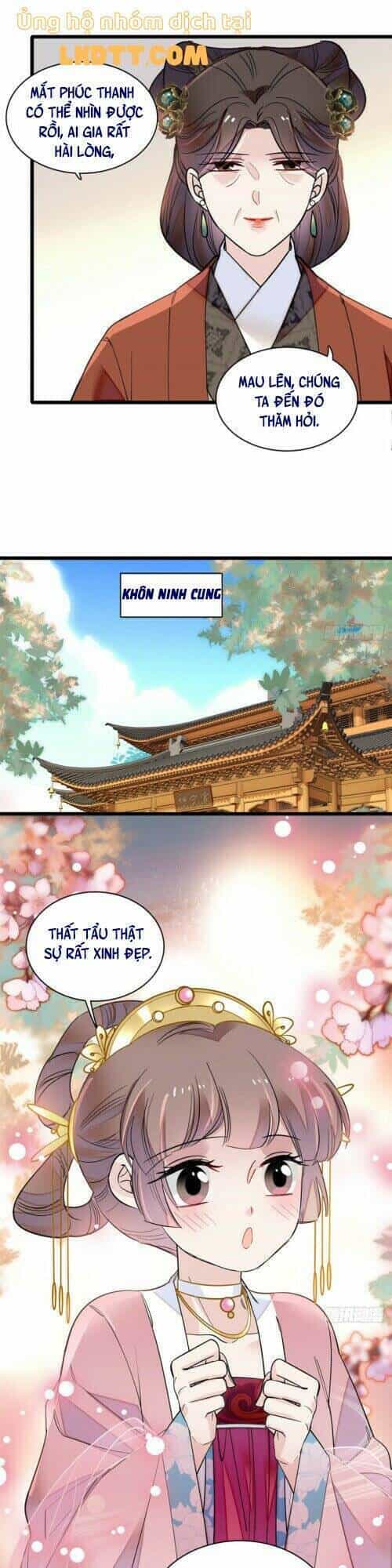 Tự Cẩm - Chương 138 - ảnh 16