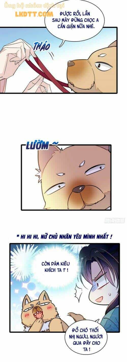 Tự Cẩm - Chương 140 - ảnh 4