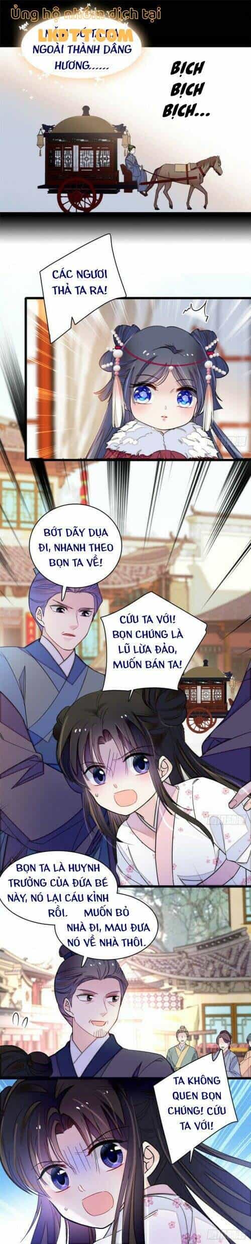 Tự Cẩm - Chương 141 - ảnh 15