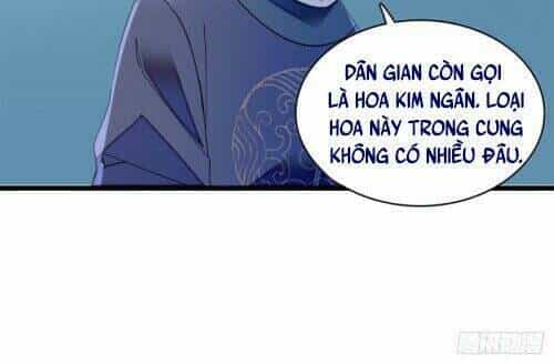 Tự Cẩm - Chương 145 - ảnh 7