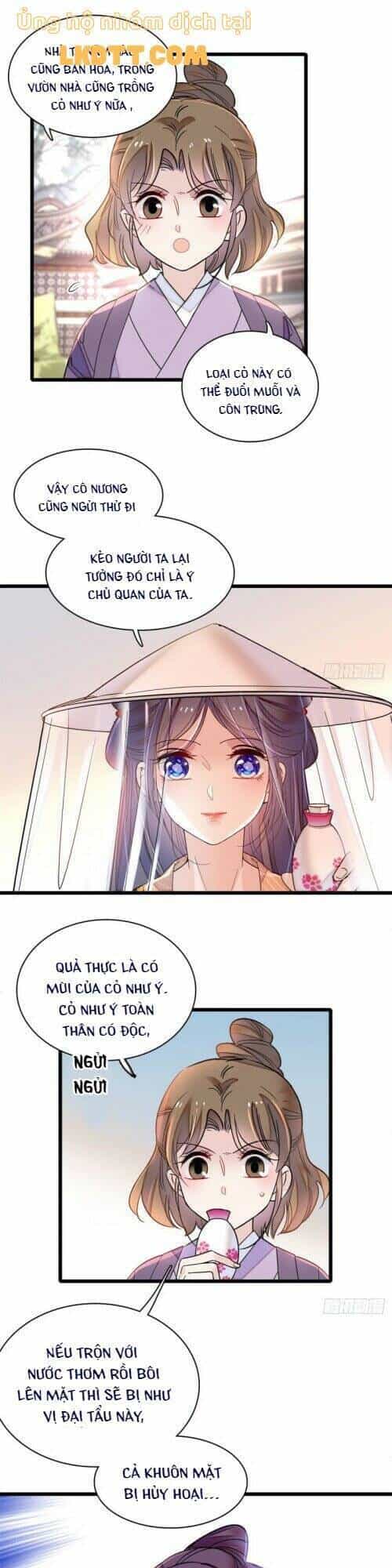 Tự Cẩm - Chương 147 - ảnh 26