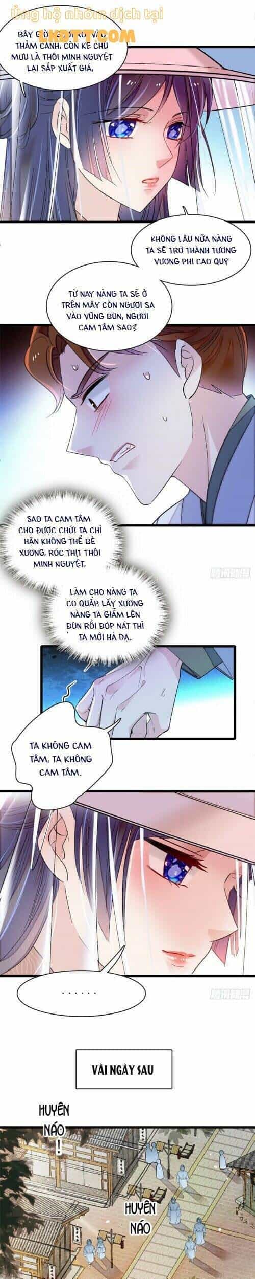 Tự Cẩm - Chương 148 - ảnh 12