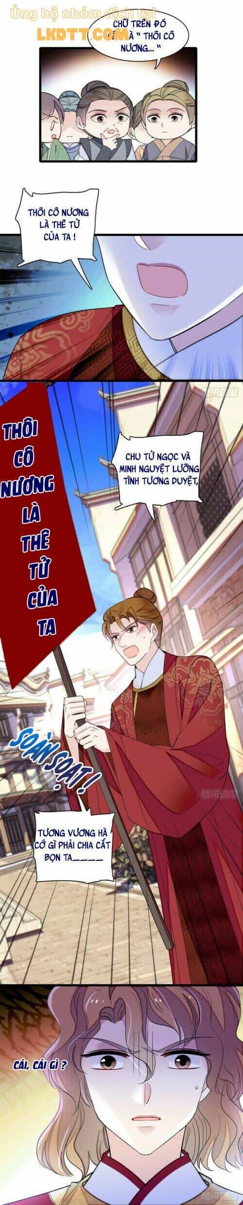 Tự Cẩm - Chương 152 - ảnh 11