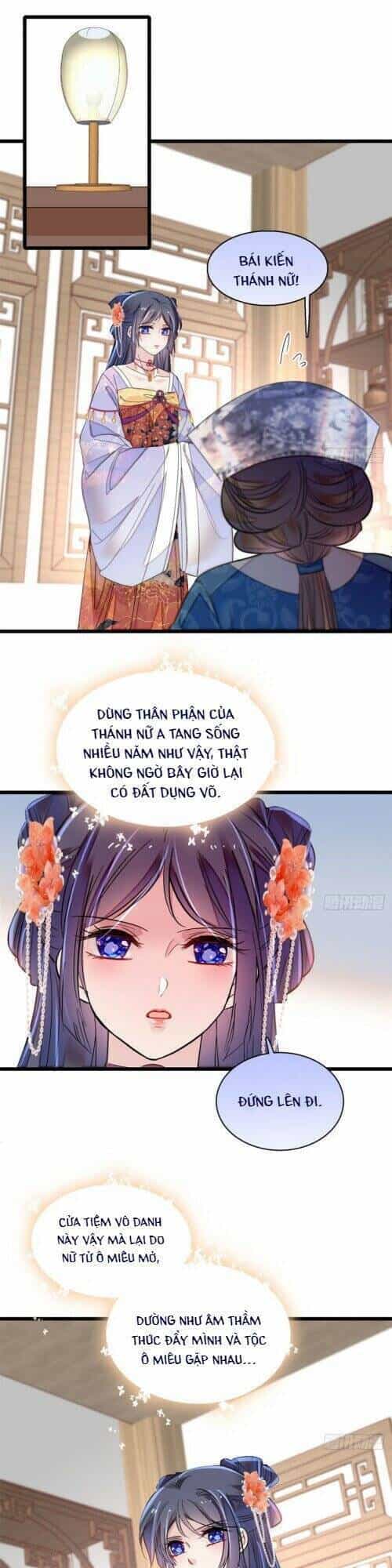 Tự Cẩm - Chương 163 - ảnh 16