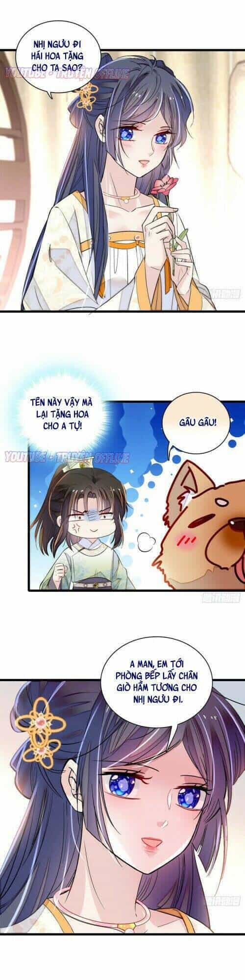 Tự Cẩm - Chương 165 - ảnh 13