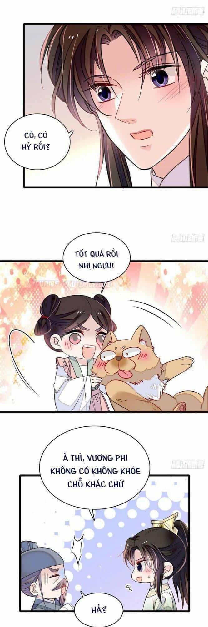 Tự Cẩm - Chương 167 - ảnh 3
