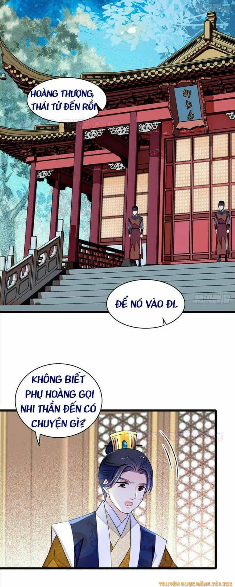 Tự Cẩm - Chương 169 - ảnh 16