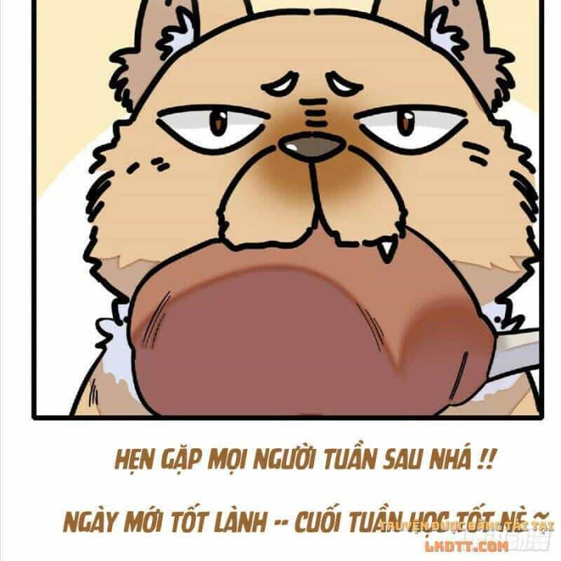 Tự Cẩm - Chương 171 - ảnh 40