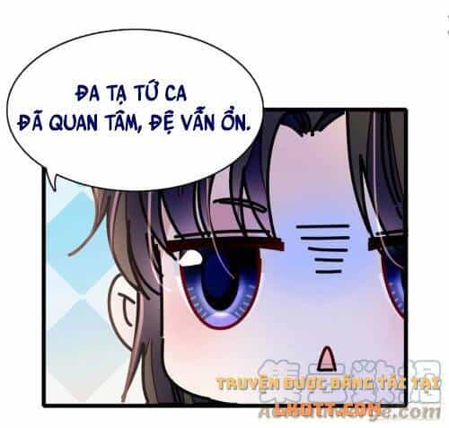 Tự Cẩm - Chương 174 - ảnh 19