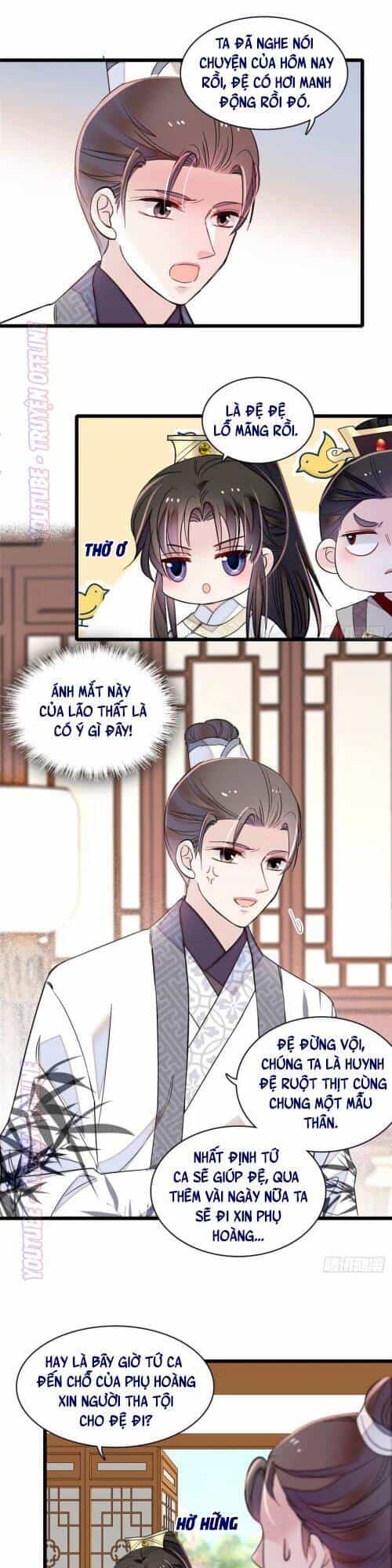 Tự Cẩm - Chương 174 - ảnh 20