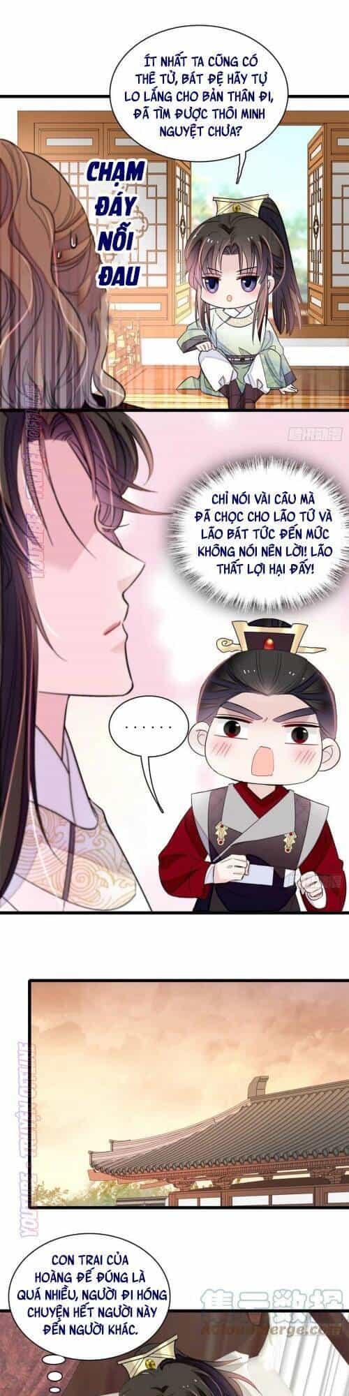 Tự Cẩm - Chương 174 - ảnh 24