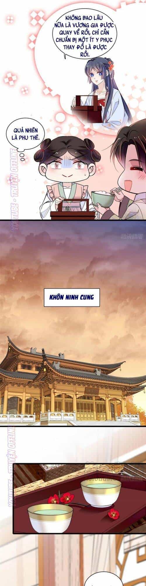 Tự Cẩm - Chương 174 - ảnh 28