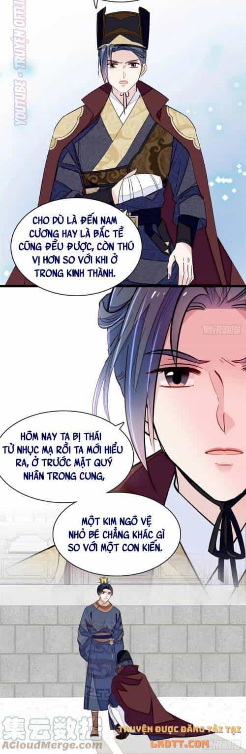 Tự Cẩm - Chương 174 - ảnh 3