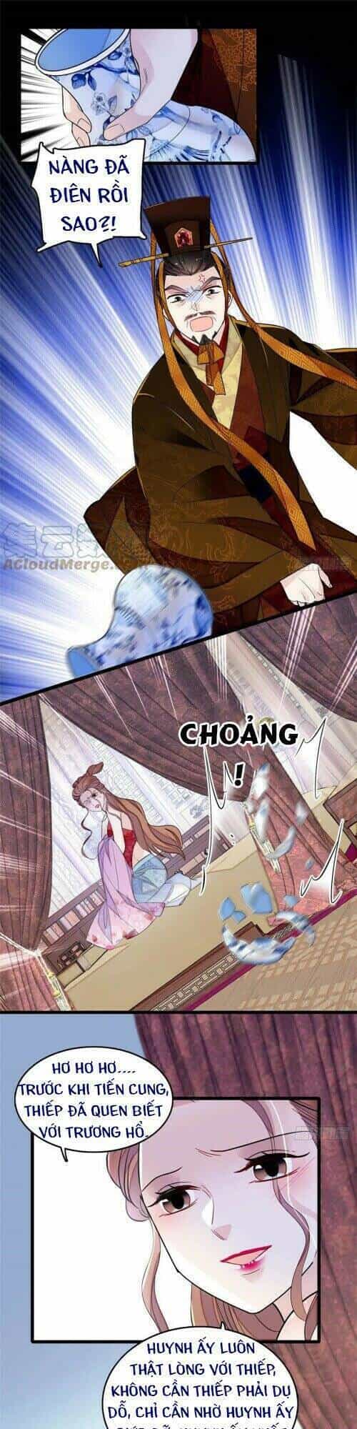 Tự Cẩm - Chương 178 - ảnh 21