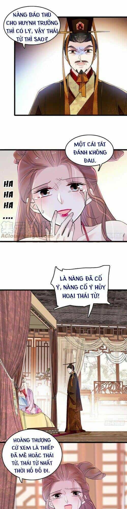 Tự Cẩm - Chương 178 - ảnh 25