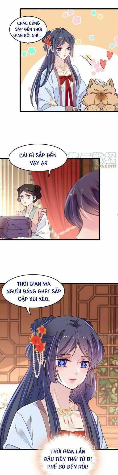 Tự Cẩm - Chương 178 - ảnh 29