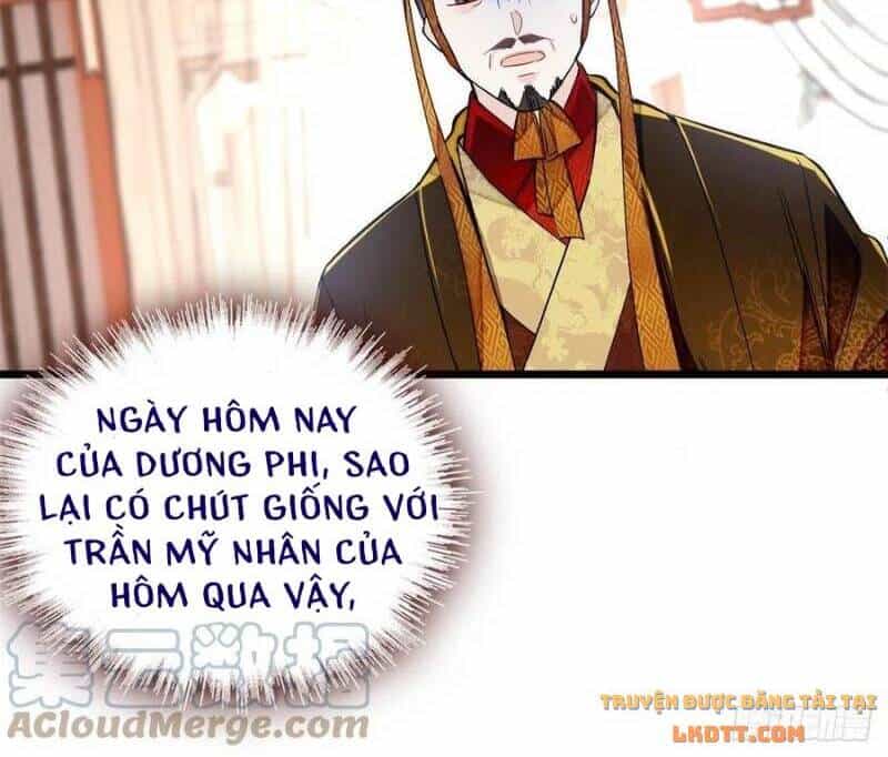 Tự Cẩm - Chương 179 - ảnh 12