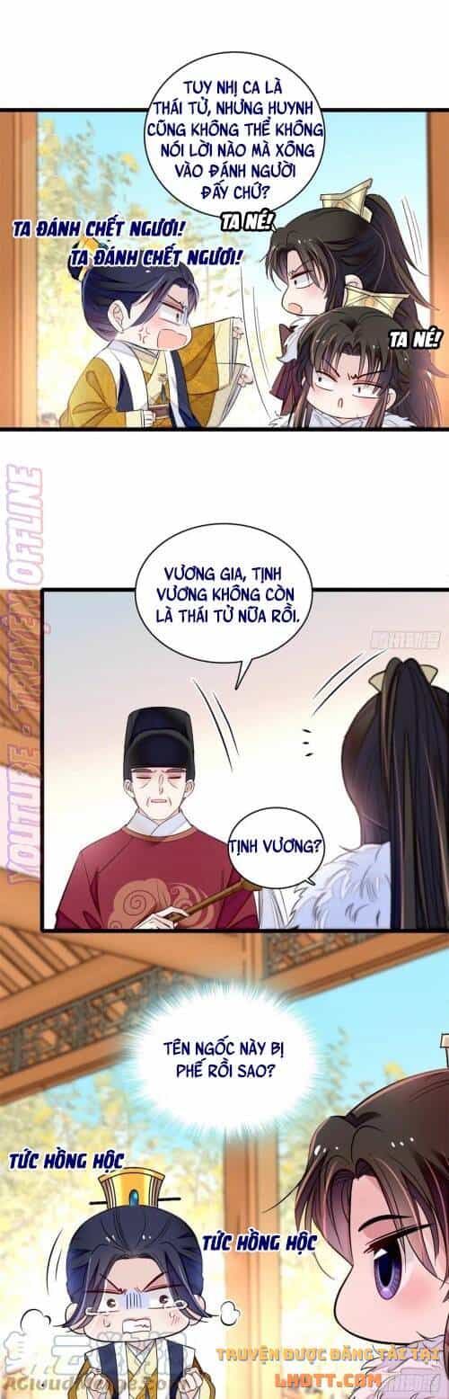 Tự Cẩm - Chương 181 - ảnh 3