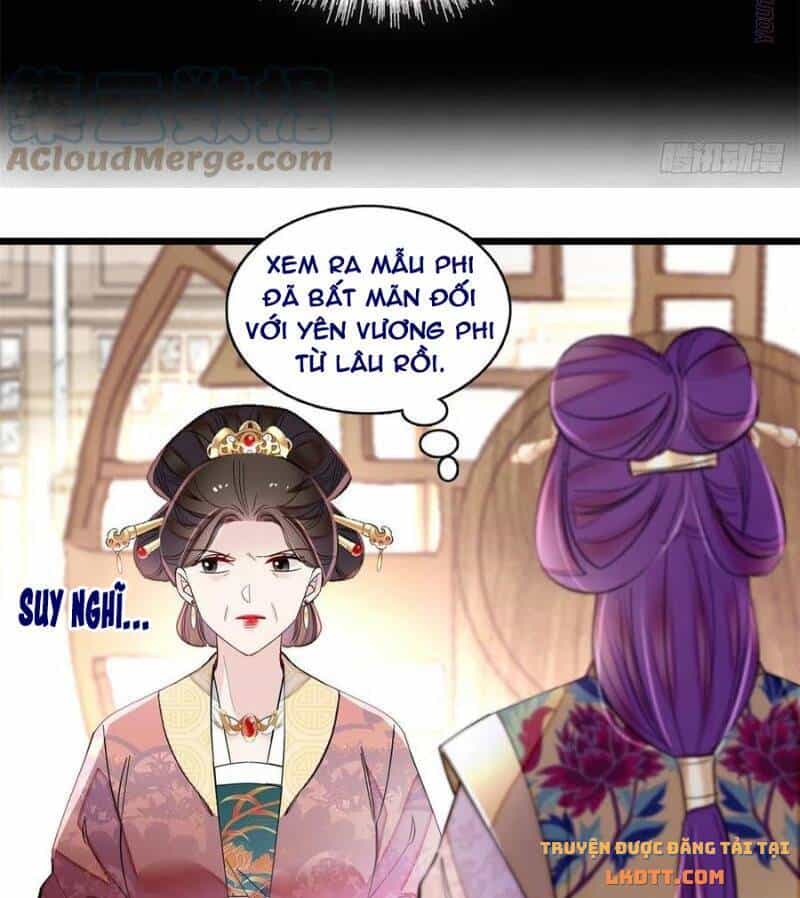 Tự Cẩm - Chương 186 - ảnh 13