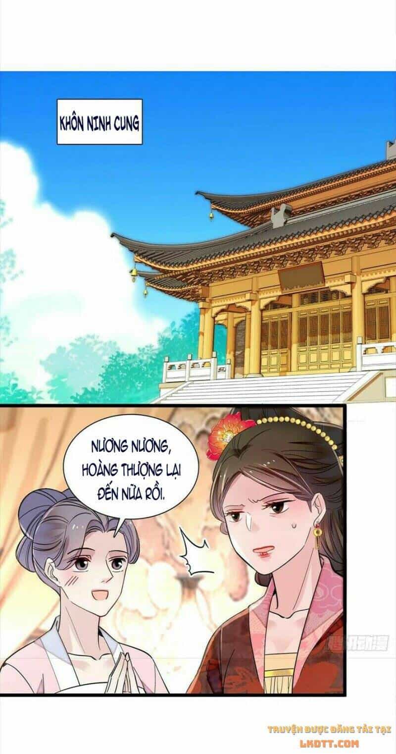 Tự Cẩm - Chương 194 - ảnh 36